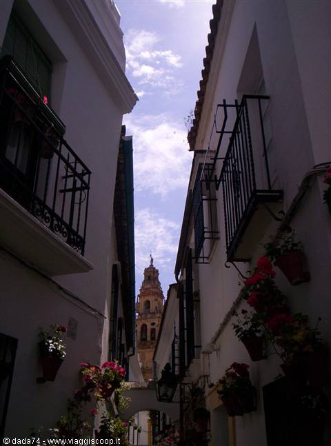 Cordoba