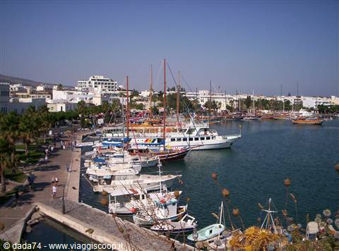 view over the harbour