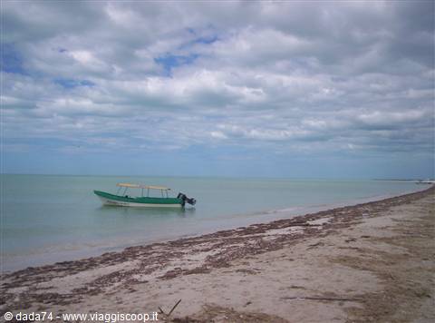 Celestun: fishing village