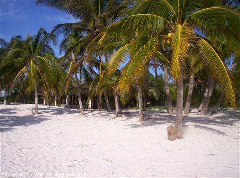 Playa paraiso..
