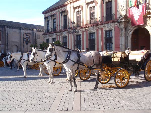 Horses with golden carriages in front of a historic building in Seville
