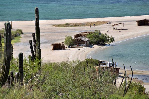 beach in Baja Concepción