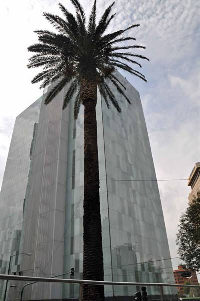 skyscraper  in Mexico City