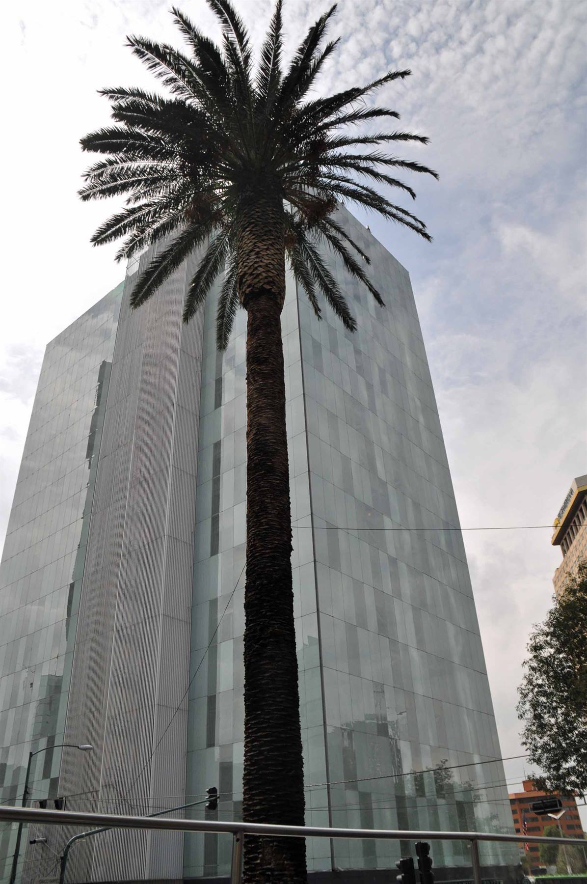 skyscraper in Mexico City