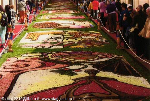 the flower festival in Noto