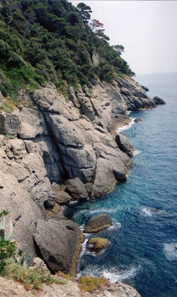cliff at Portofino