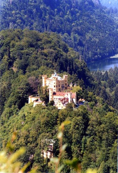 Hohenschwangau castle on a forested hill above the lake