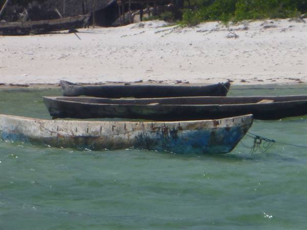 Weathered wooden boats float on green water in front of sandy beach