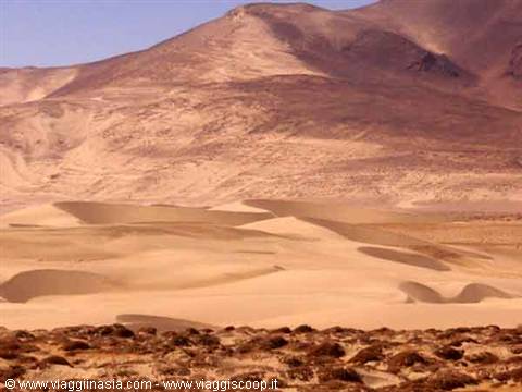 the desert