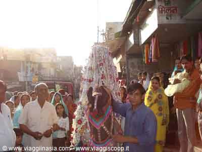 dhar muslim wedding