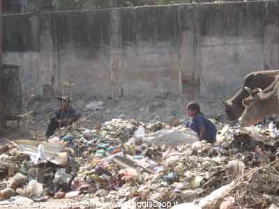 waste