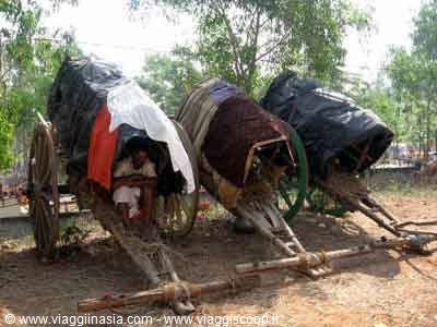 carts