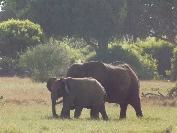 Tsavo East National Park