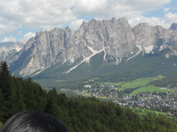 Cristallo group above Cortina d'Ampezzo, grey dolomite towers over green meadows