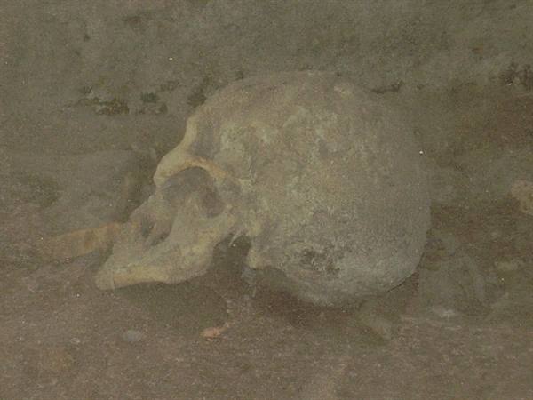 Ancient half-buried human skull in dim excavation light
