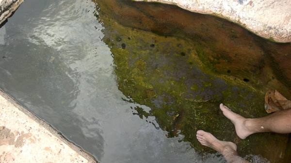 Thermal pool of Tolfa