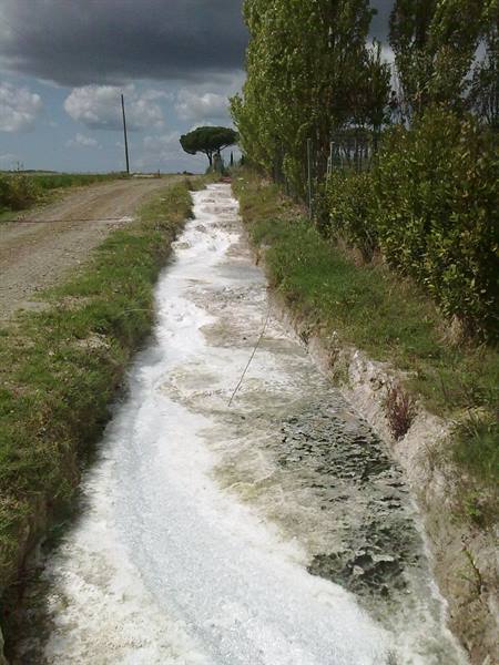 Spring of the Zitelle