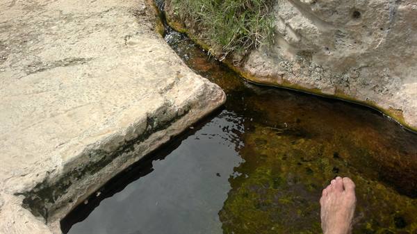Bagnarello.....detail of the pool