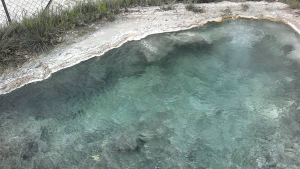 Bullicame spring