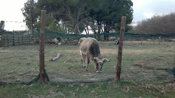 Moon-like landscape at Manziana