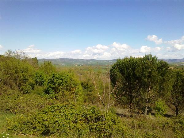 Landscape from Bagno Vignoni