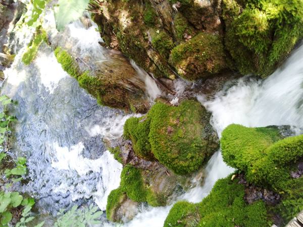 The Plitvice lakes