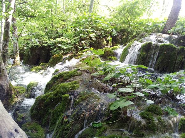 The Plitvice lakes