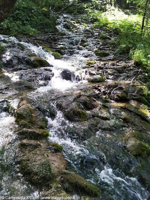 The Plitvice lakes