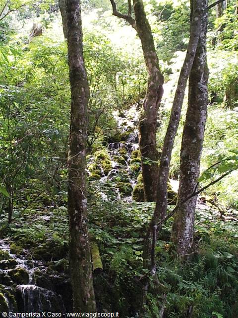 The Plitvice lakes