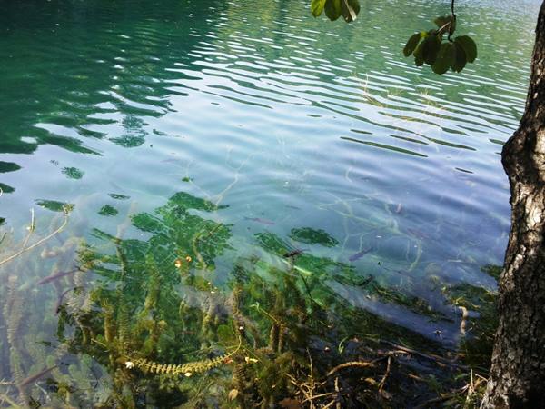 The Plitvice lakes