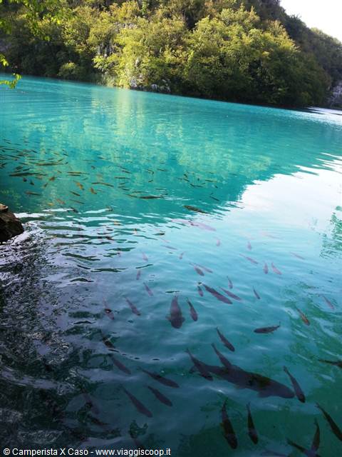 The Plitvice lakes