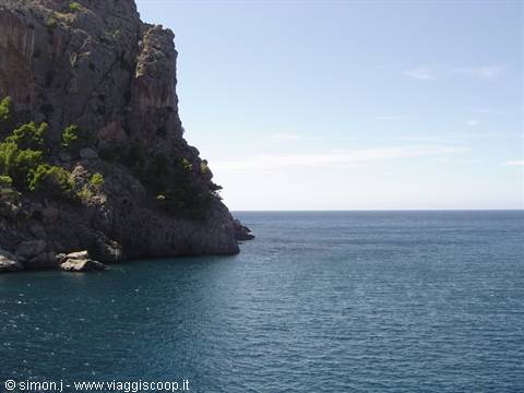 rocky cliff with pines plunges into the blue sea