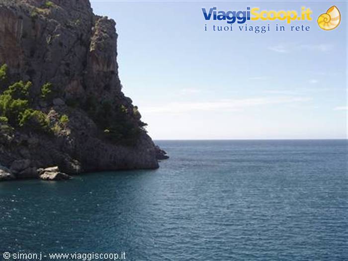 rocky cliff with pines plunges into the blue sea