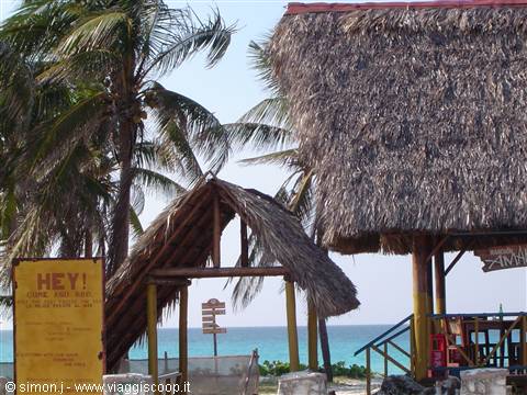 Thatched-roof beach bar with palm trees and turquoise sea