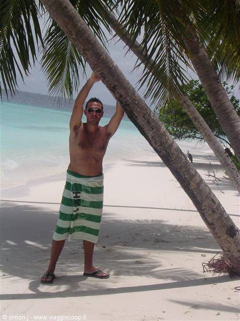 Man in green sarong on white sand beach gripping a leaning palm tree