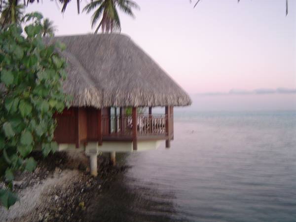 lagoon deluxe bungalow of the Sofitel Motu