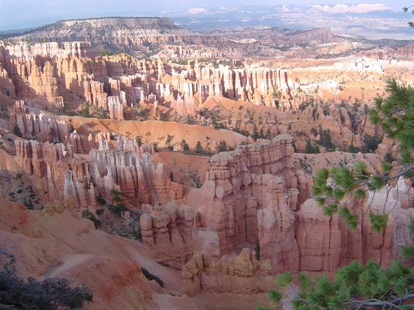 Orange and red hoodoos of Bryce Canyon among pines, morning light