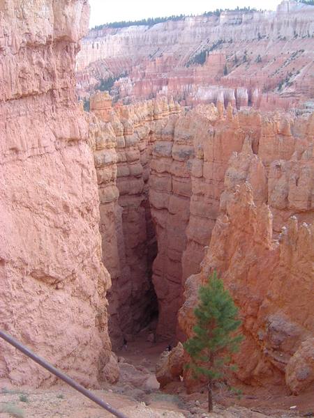 Red rock hoodoos at Bryce Canyon, hikers walking the trail between formations
