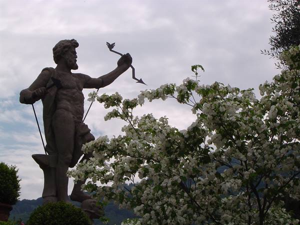 Neptune statue holding trident among white blossoms, Boboli Gardens, Florence
