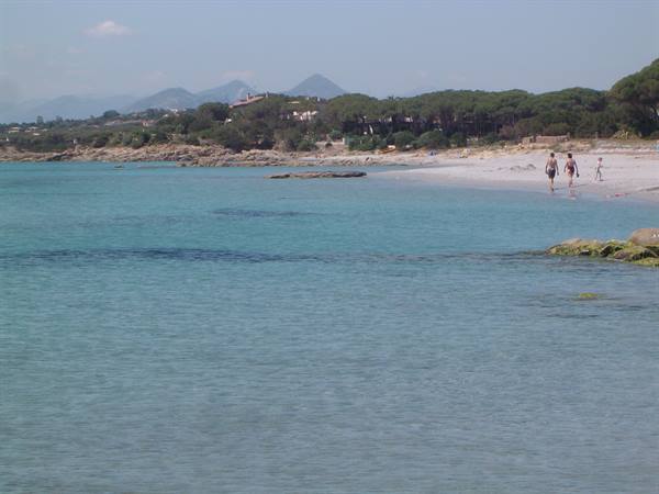 Turquoise beach, people walking at the shore, pines and mountains behind