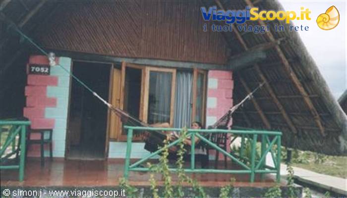 Thatched-roof bungalow with green veranda, a person lying in a hammock
