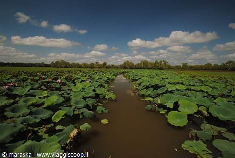 Kakadu National Park, Australia