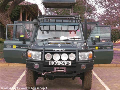 Ready for the safari