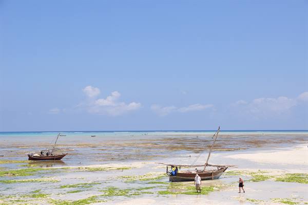 Low Tide