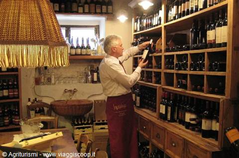 Sommelier in wine cellar picking a bottle from wooden shelves full of wine