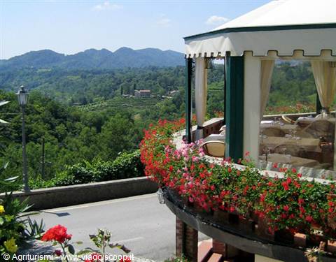 At Andreetta terrace