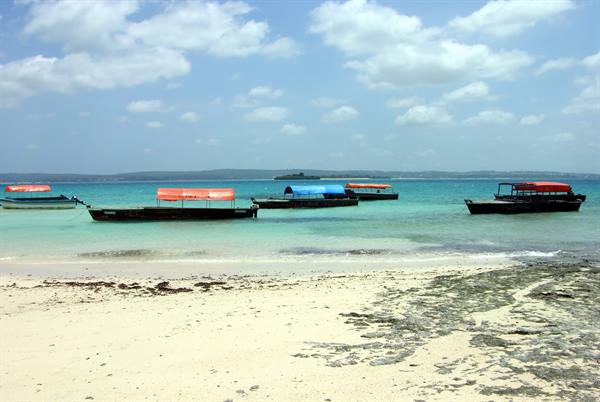 ZANZIBAR, SPICE ISLAND- Imbarcoinidviduale.com