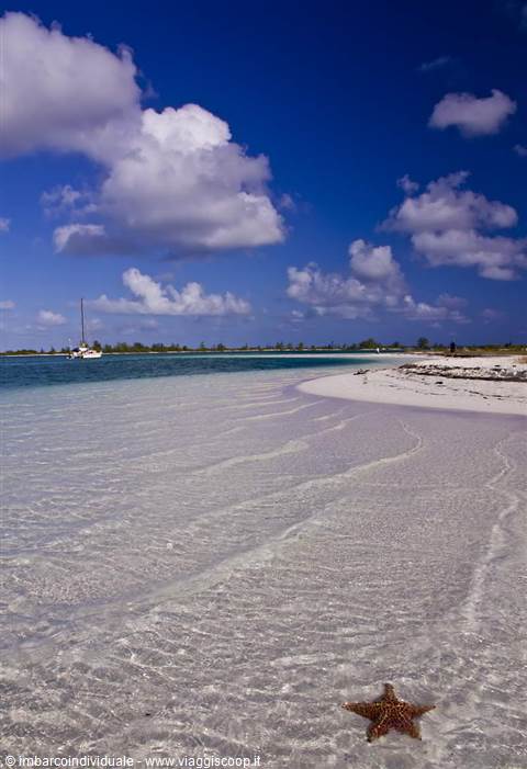 Starfish on white sand, sandbar and sailboat in turquoise shallow water