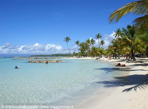 White sand beach with palm trees, turquoise water, swimmers and sunbathers