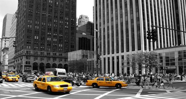 New York What to See